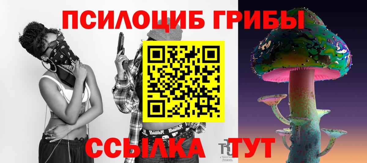Набережные Челны  Галлюциногенные грибы Psilocybine cubensis  Вход с VPN  Псилоцибиновые грибы Psilocybine cubensis 